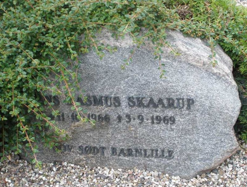 Jens Rasmus Skaarup.JPG